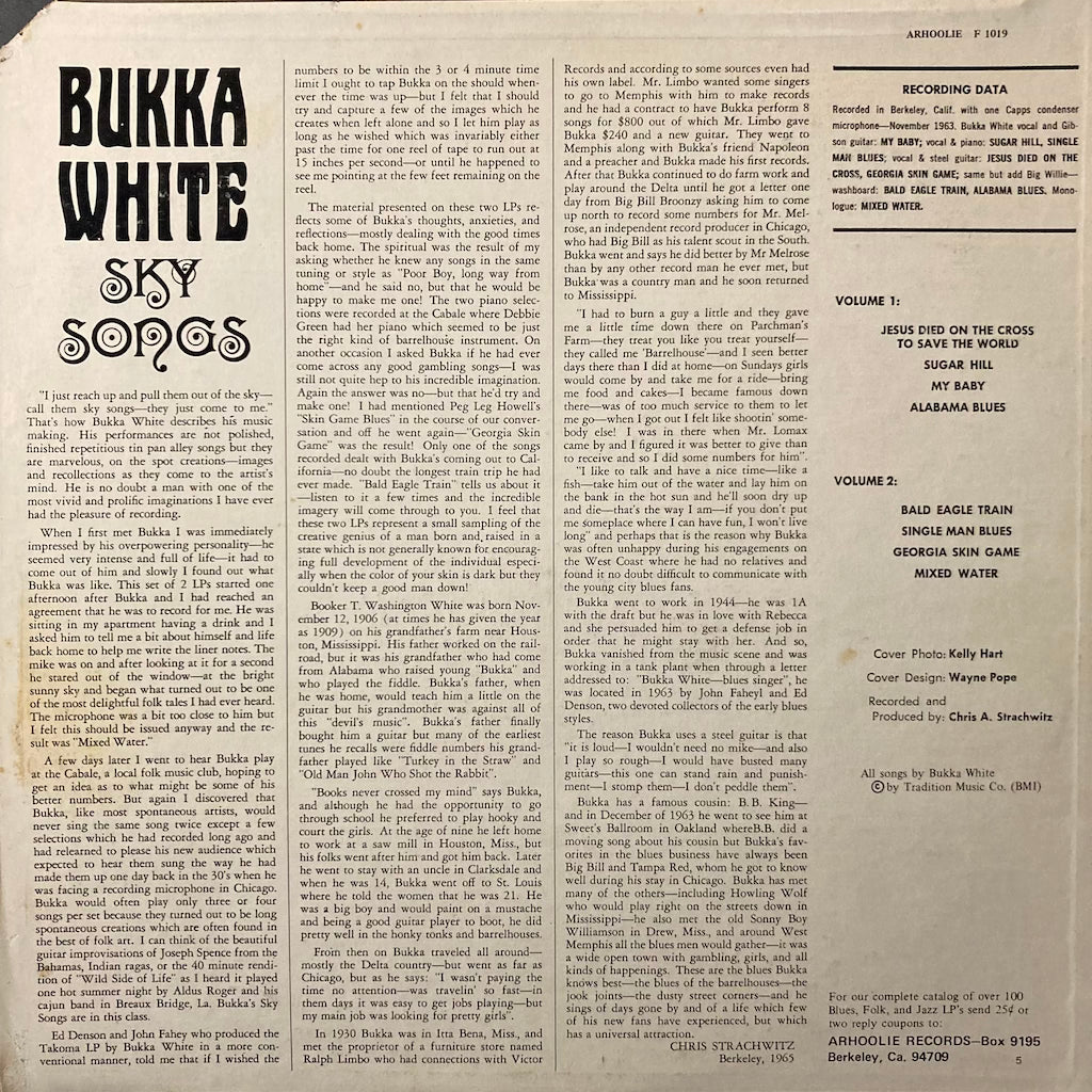 Bukka White - Sky Songs Vol.1