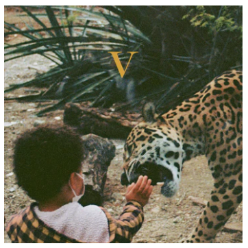 Unknown Mortal Orchestra - V [Legendary Edition 2x Vinyl]
