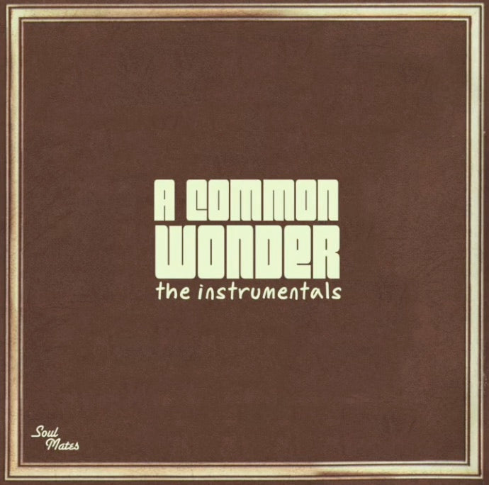 Common vs Stevie Wonder - Instrumentals