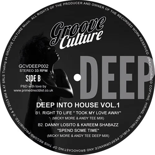 V/A - Deep Into House Vol. 1