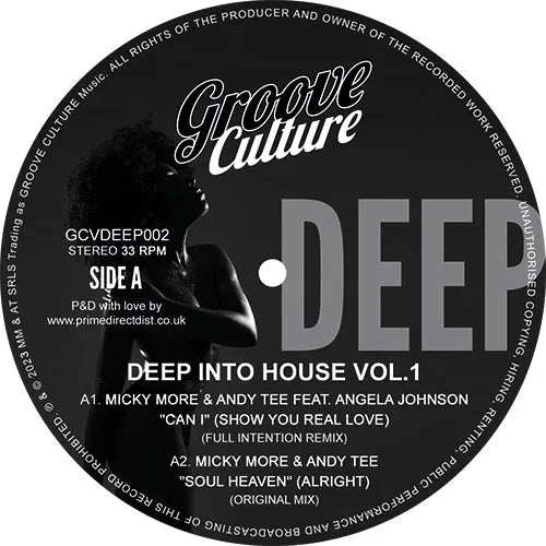 V/A - Deep Into House Vol. 1