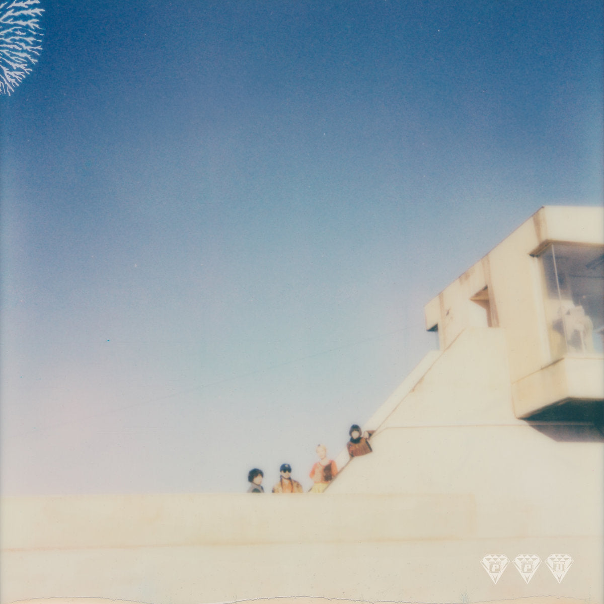 Tamtam - Where They Dwell