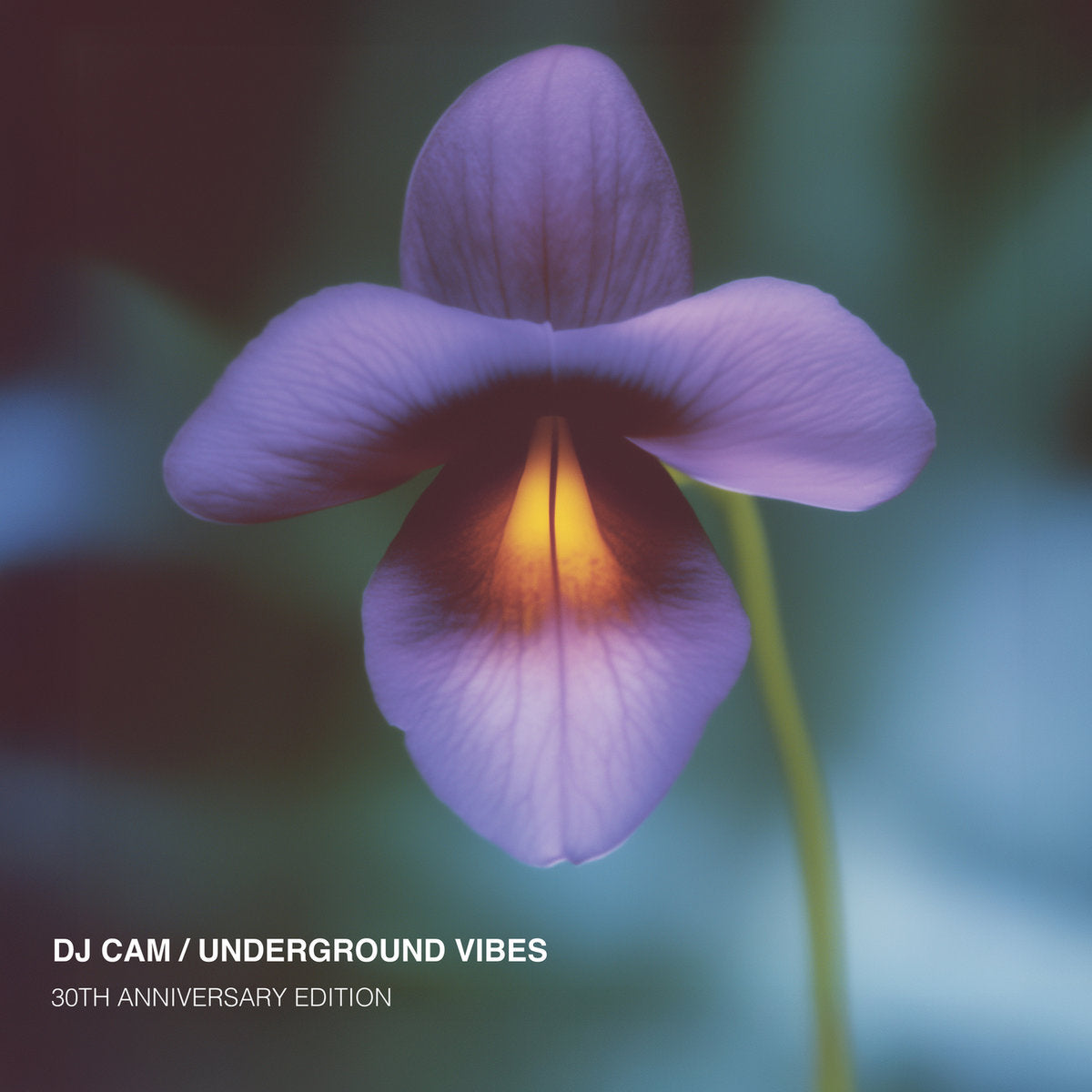 DJ Cam - Underground Vibes