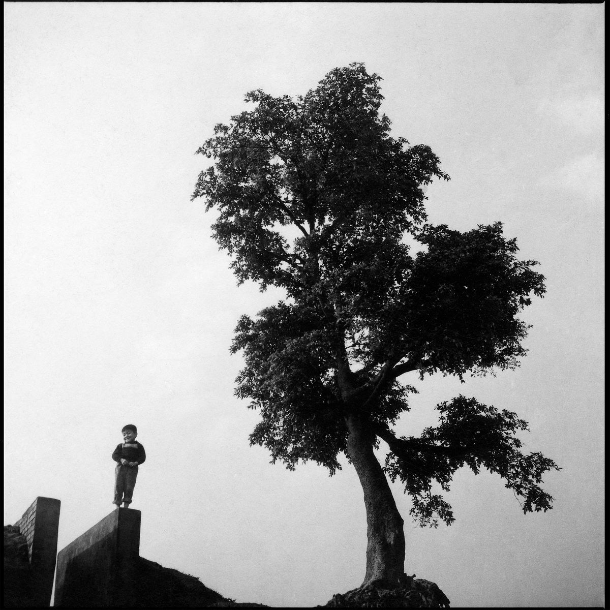 Various - Sounds of Taiwan