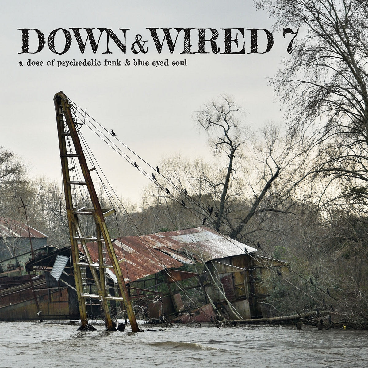 V/A - Down & Wired Vol. 7