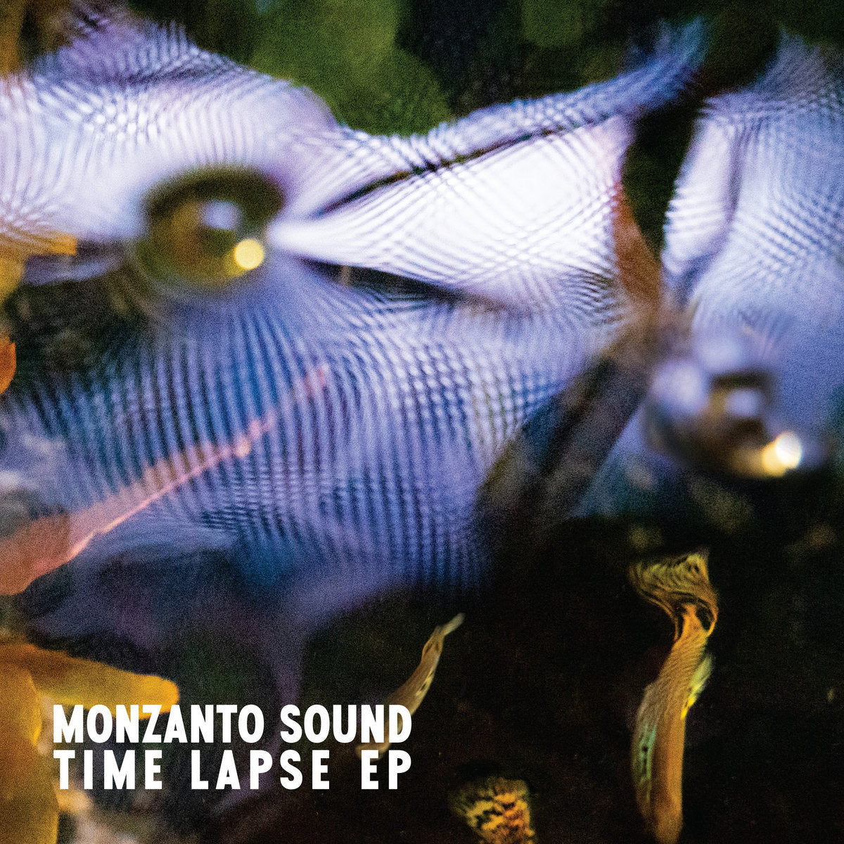 Monzanto Sound - Time Lapse EP