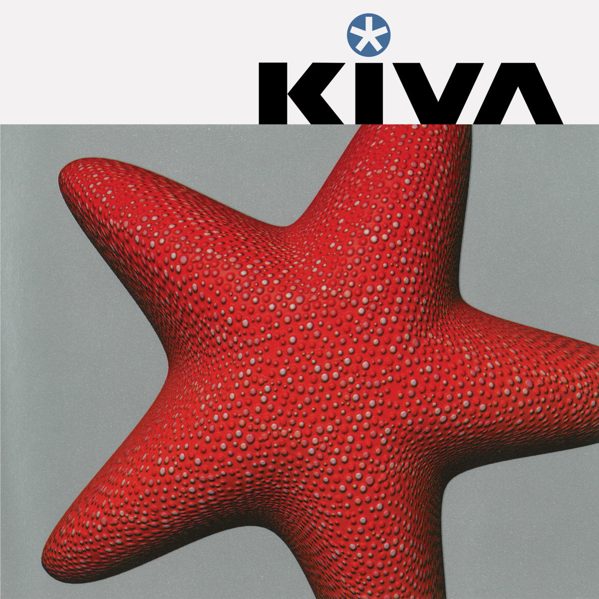 Kiva - Kiva