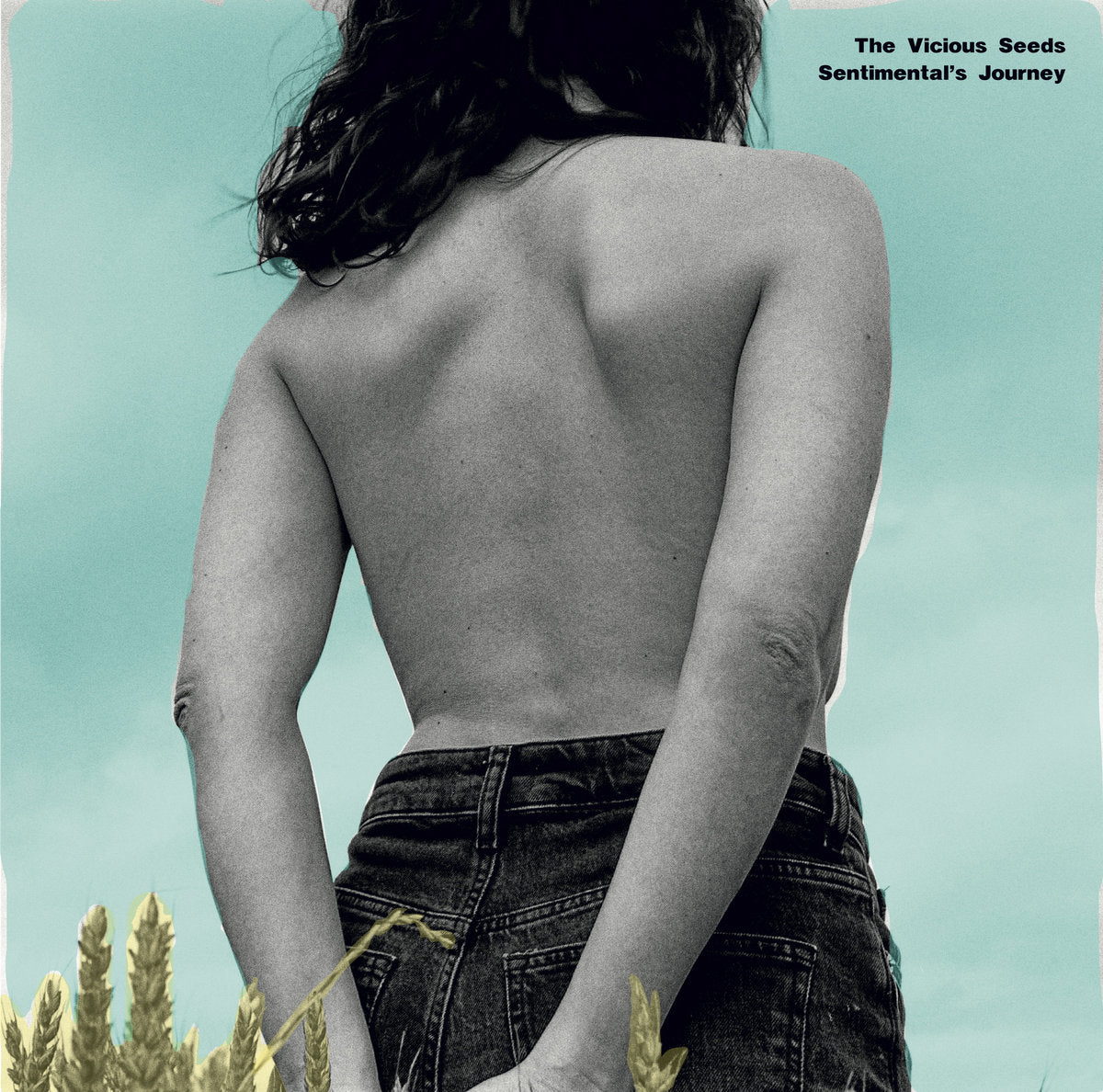 The Vicious Seeds - Sentimental’s Journey