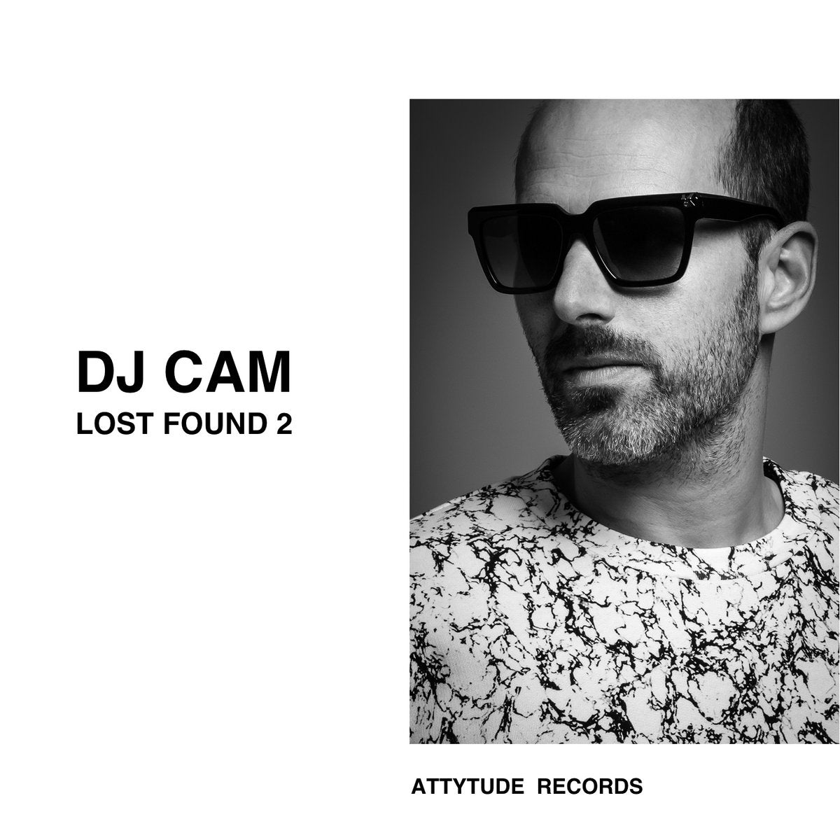 DJ Cam - Lost Found 2 [LP]