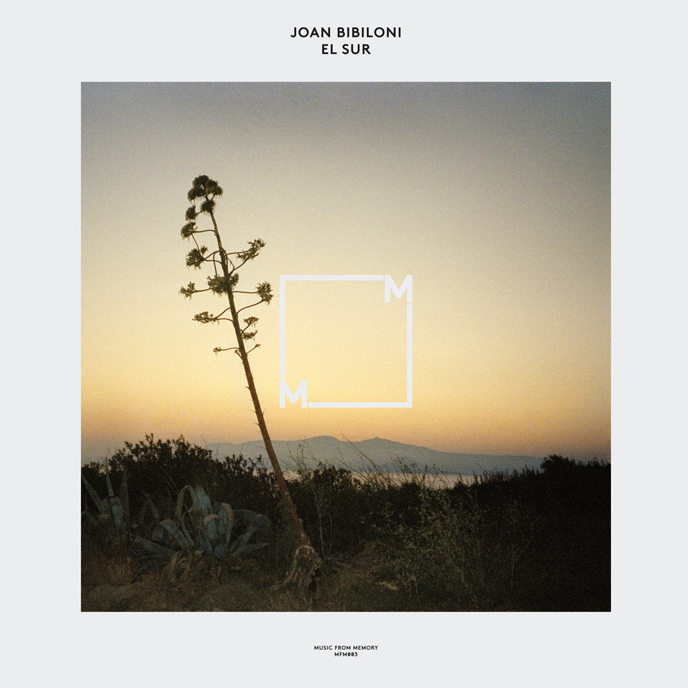 Joan Biblioni - El Sur