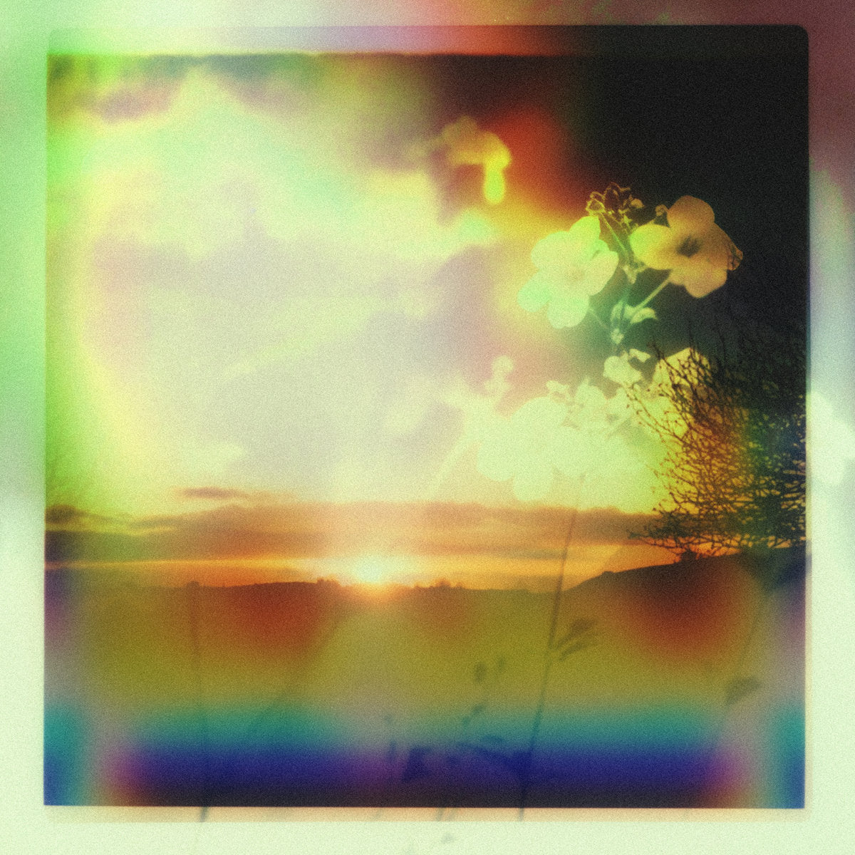 new music – AGS Honolulu