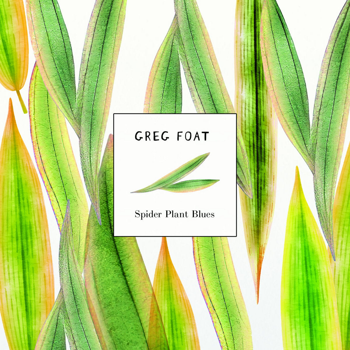 Greg Foat - Spider Plant Blues 7"