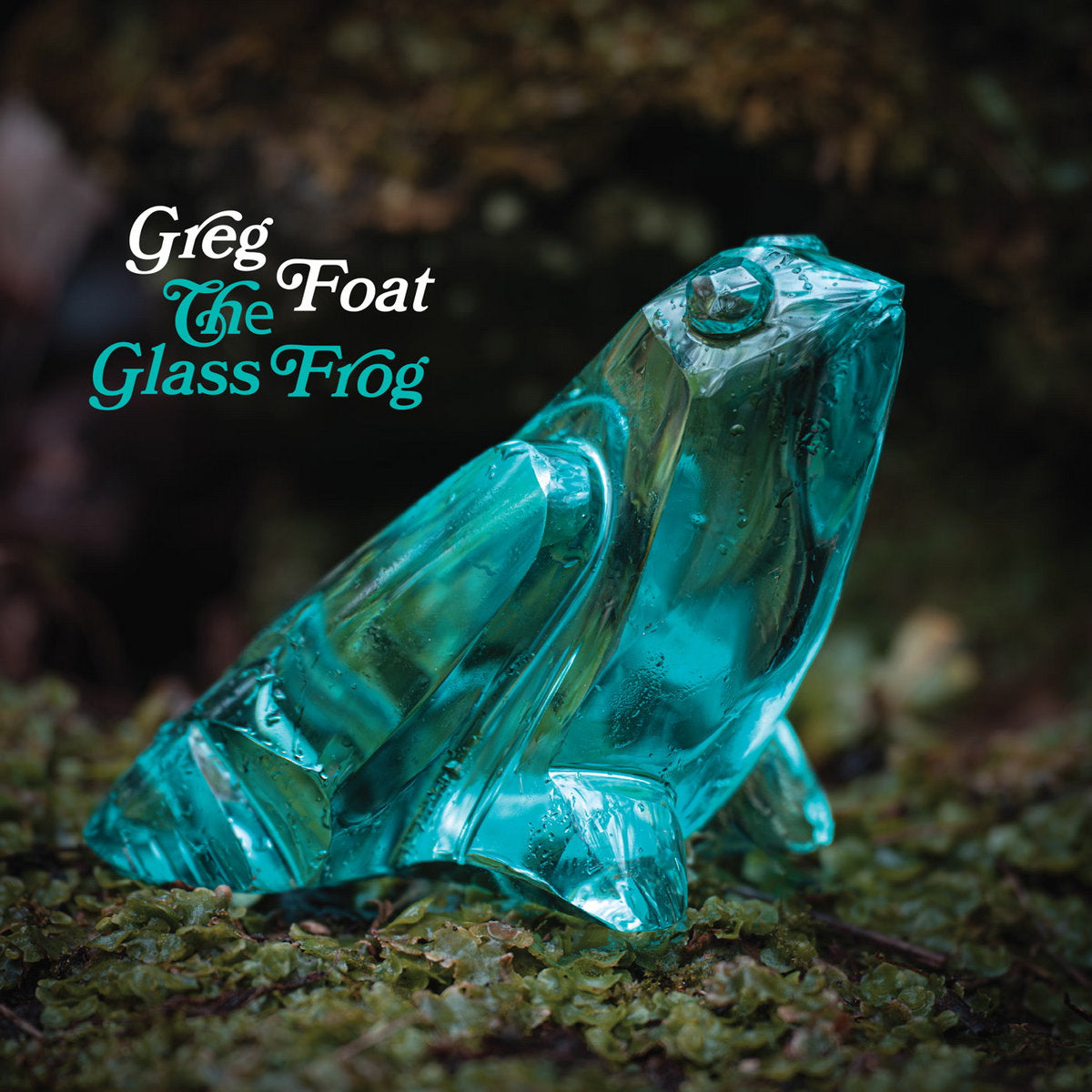 Greg Foat - The Glass Frog