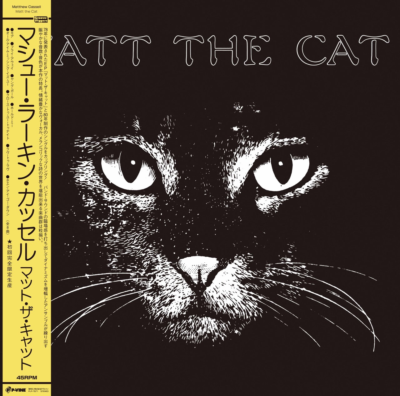 Matthew Cassell - Matt The Cat