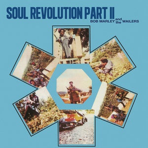 Bob Marley and The Wailers - Soul Revolution Part II