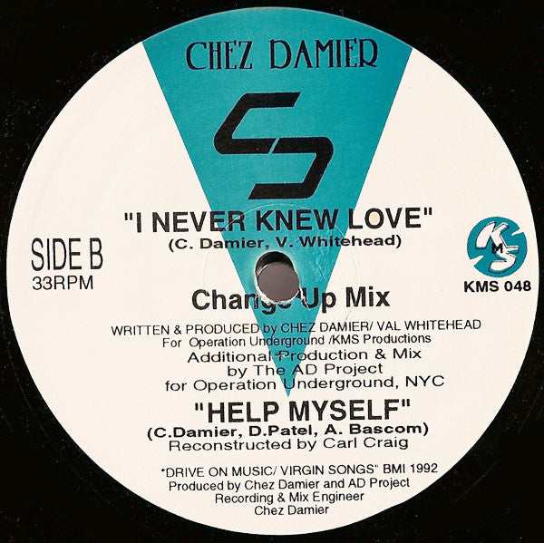 Chez Damier - I Never Knew Love