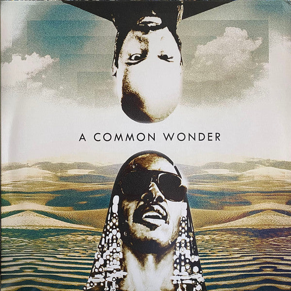 Common vs S Wonder - Common Wonder