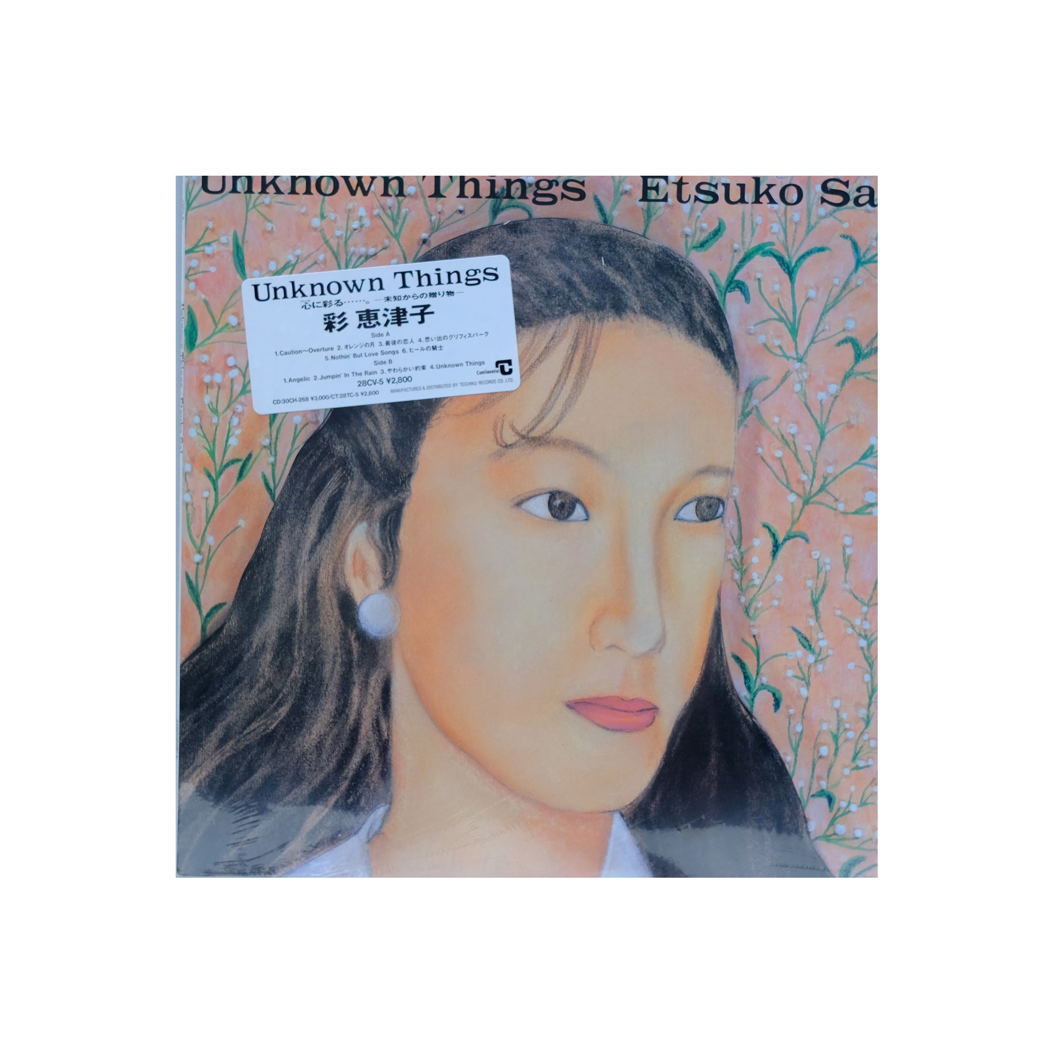 Etsuko Sai - Unknown Things