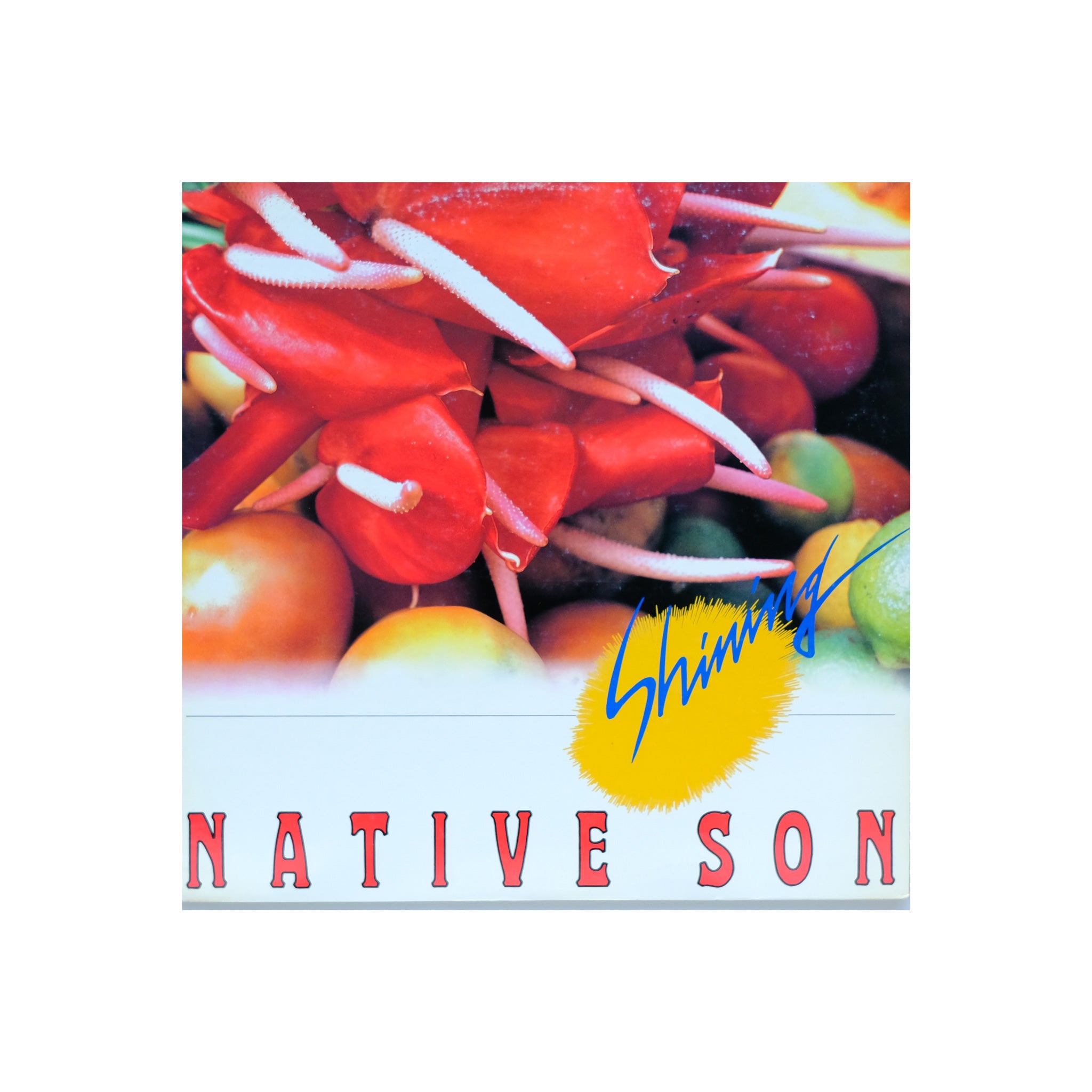 Native Son - Shining