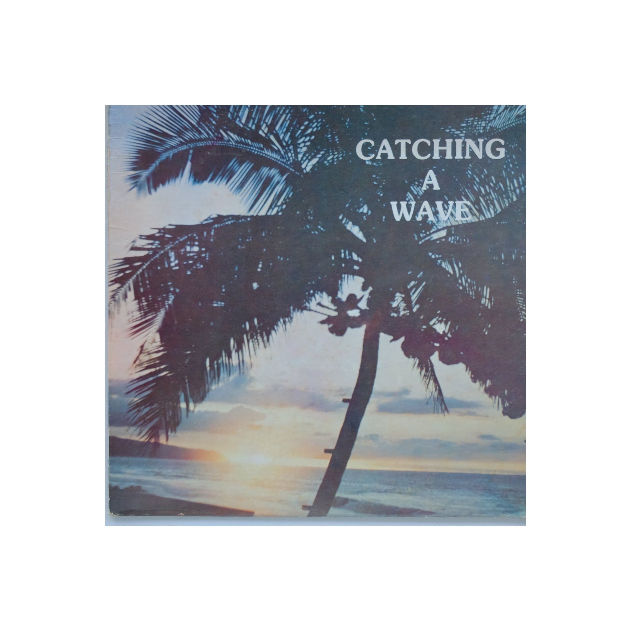 Steve & Teresa - Catching A Wave (original 1983 pressing) [VG+]