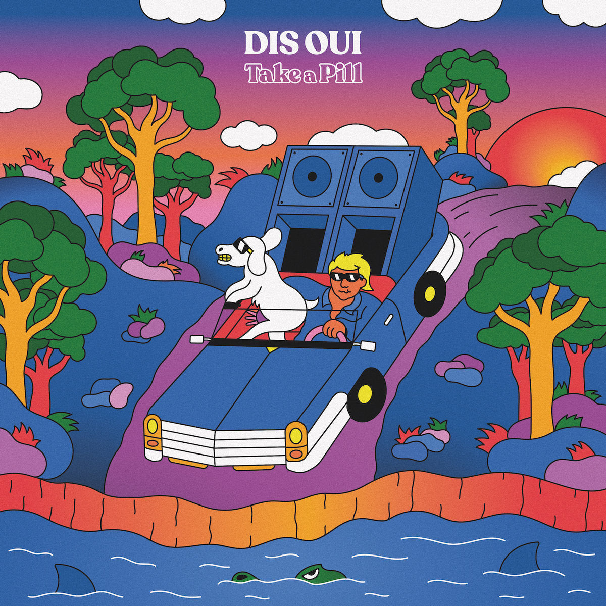 Dis Oui - Take A Pill