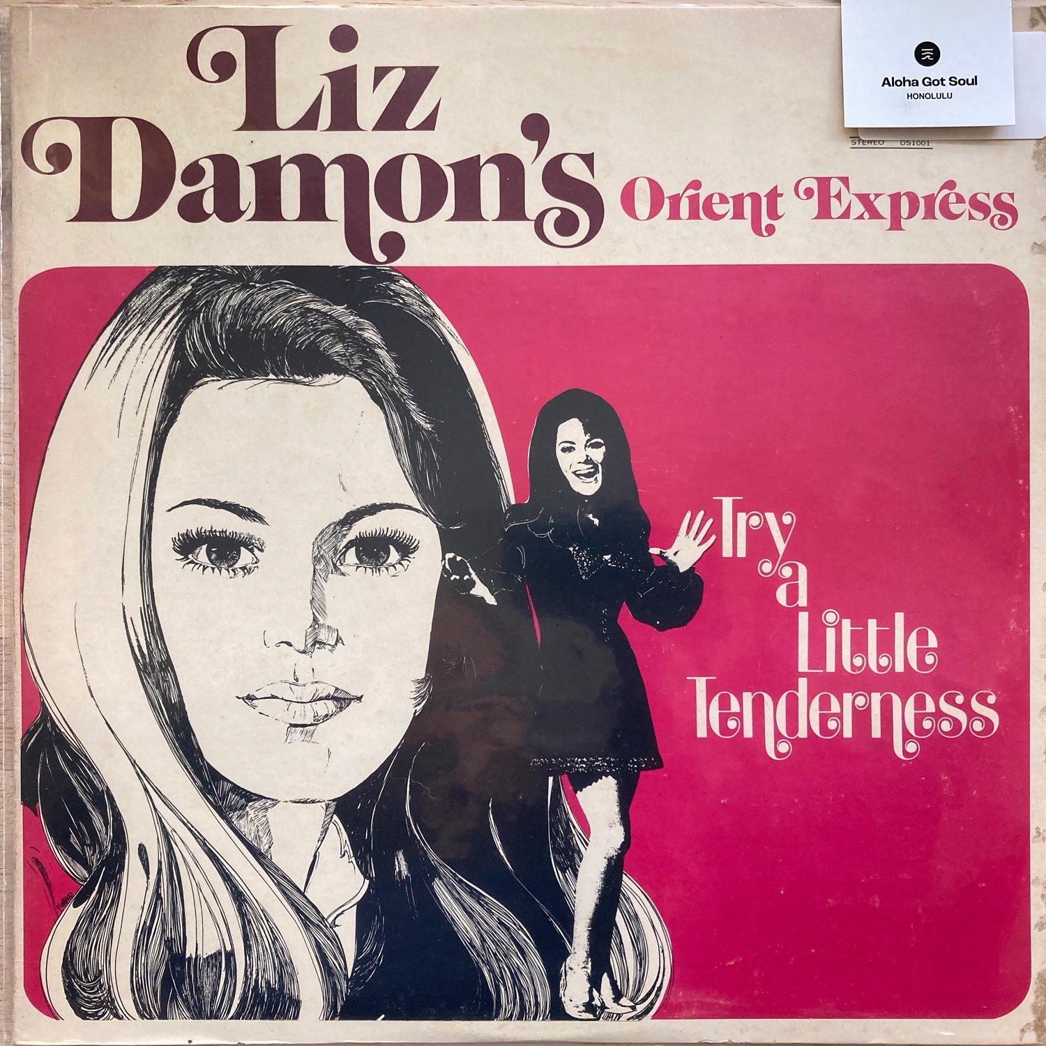 Liz Damon's Orient Express - Try A Little Tenderness