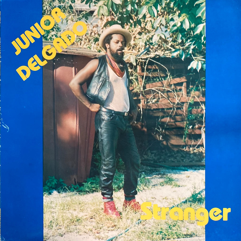 Junior Delgado - Stranger