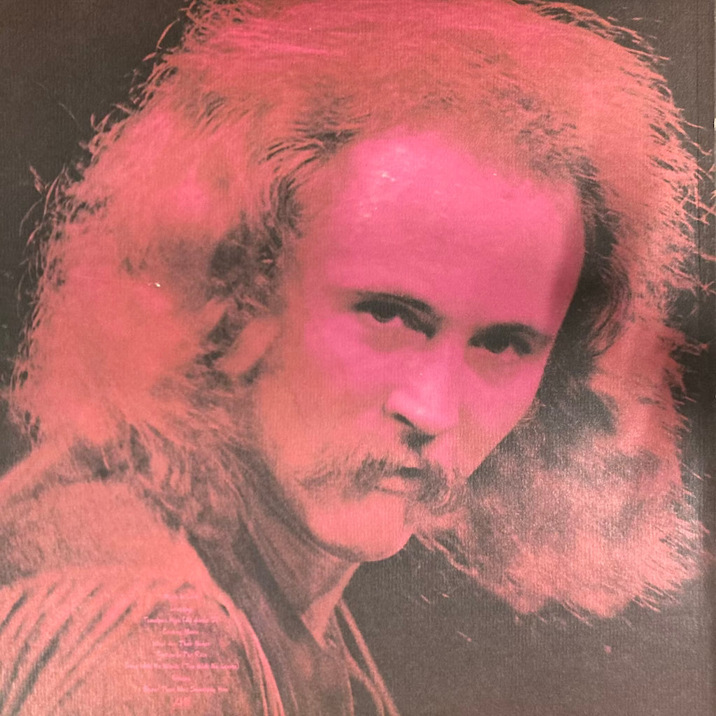 David Crosby - If I Could Only Remember My Name