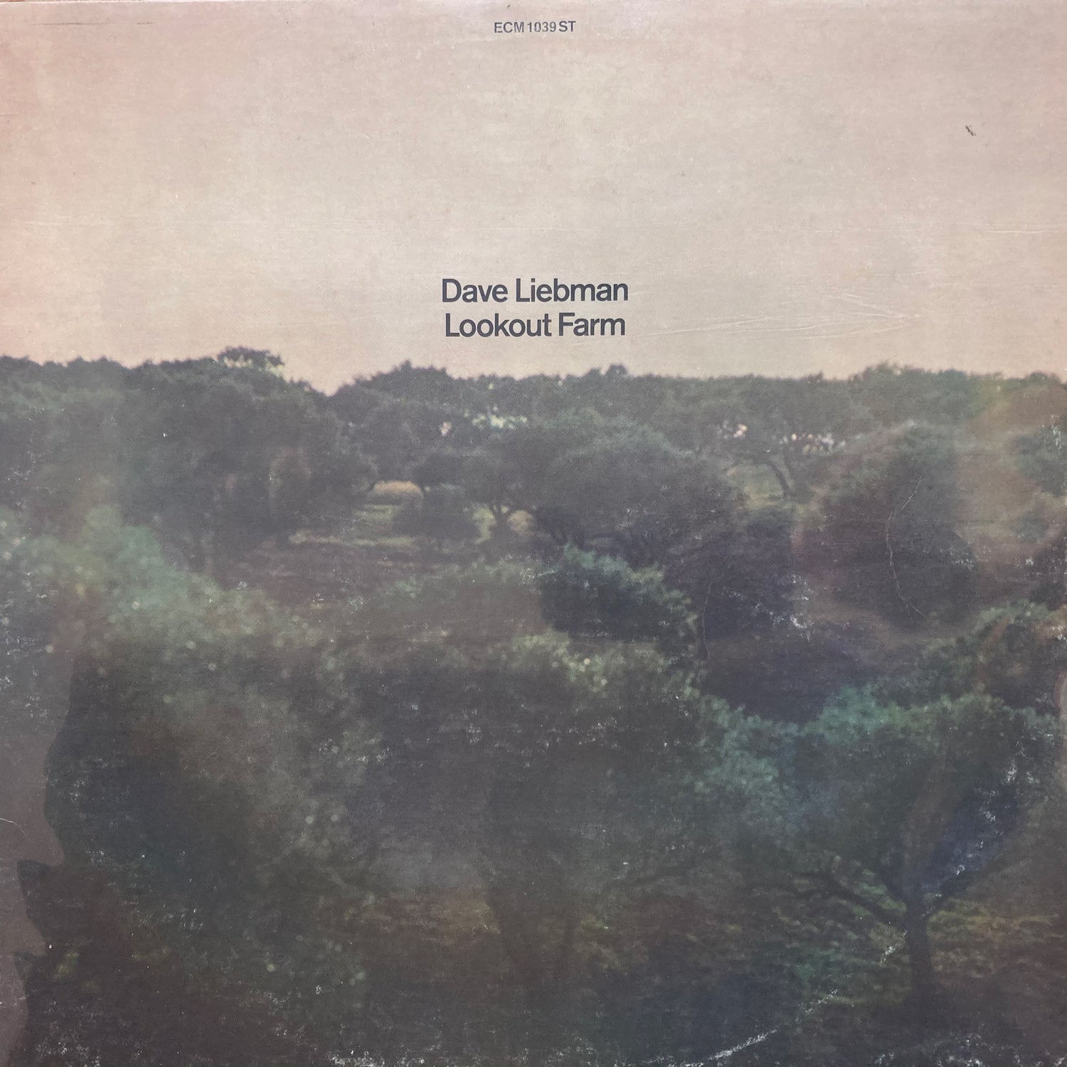 Dave Liebman - Lookout Farm