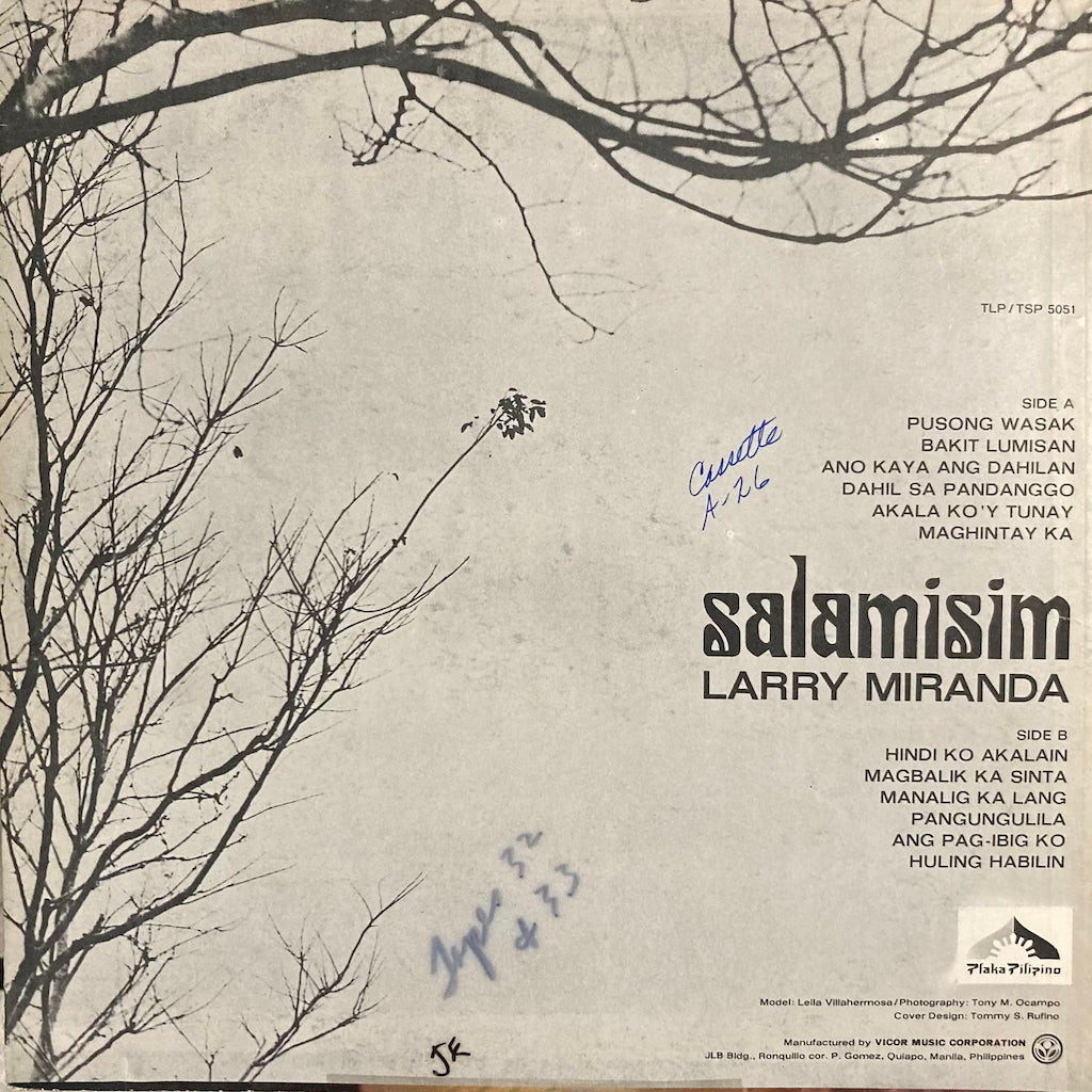 Larry Miranda - Salamisim