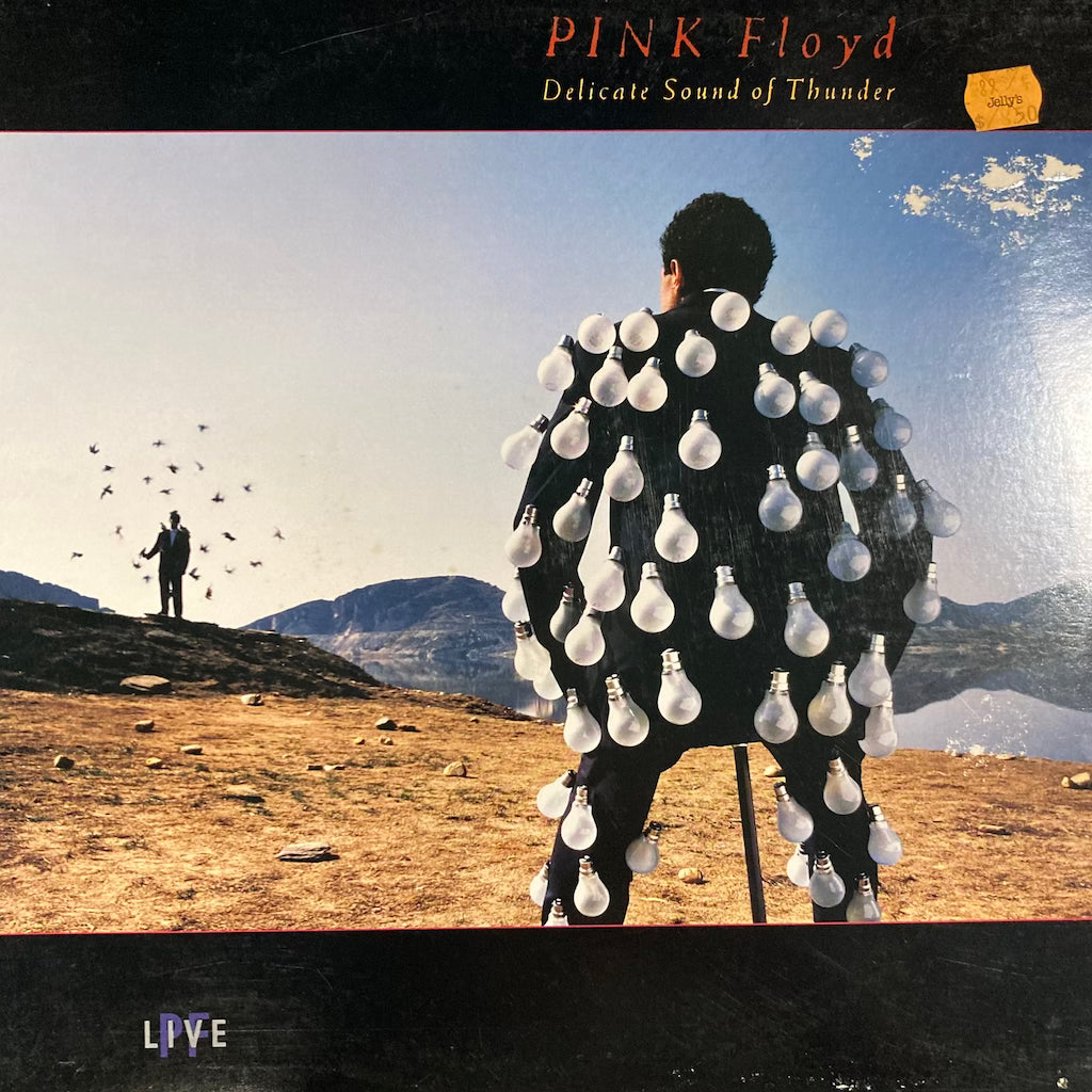 Pink Floyd - Delicate Sound of Thunder