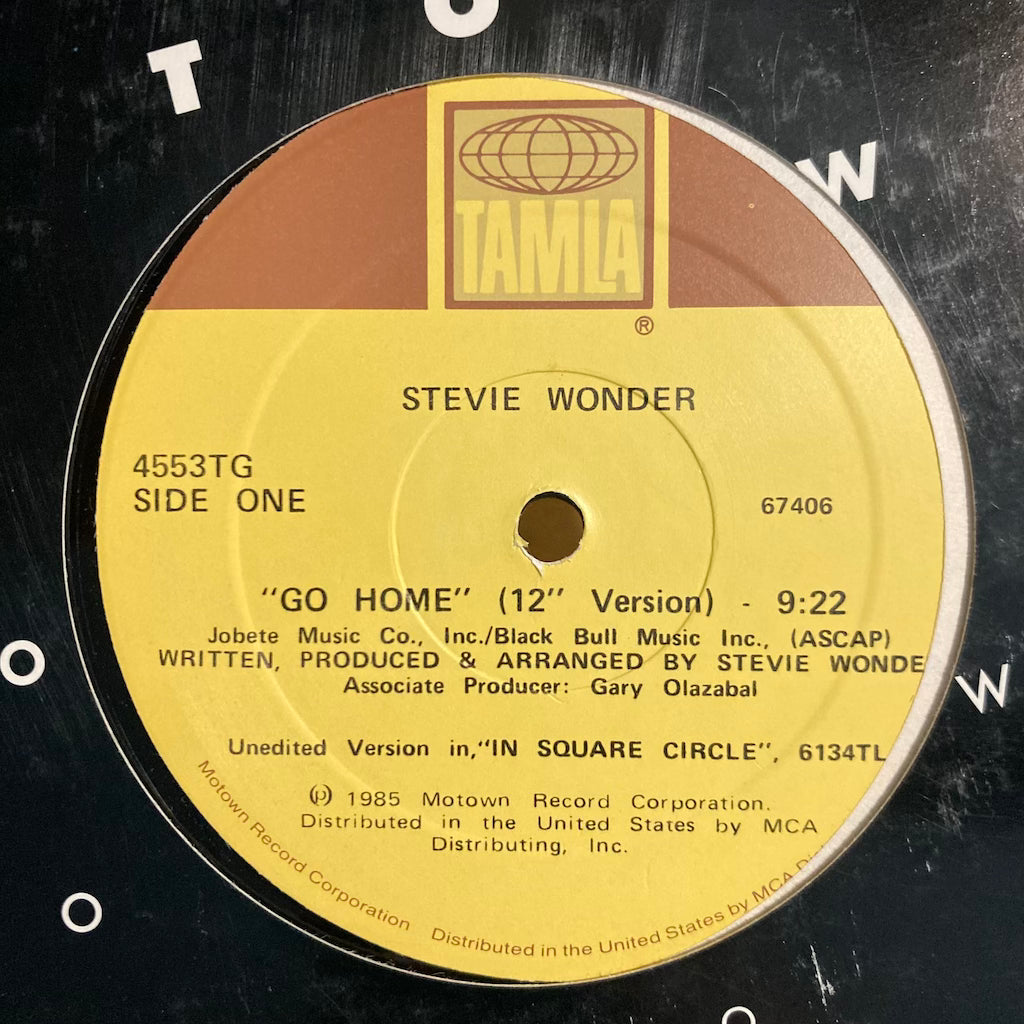 Stevie Wonder - Go Home