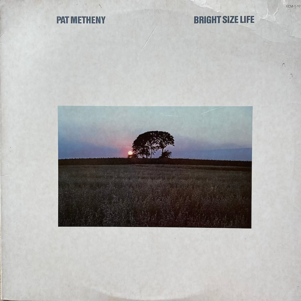 Pat Metheny - Bright Size Life