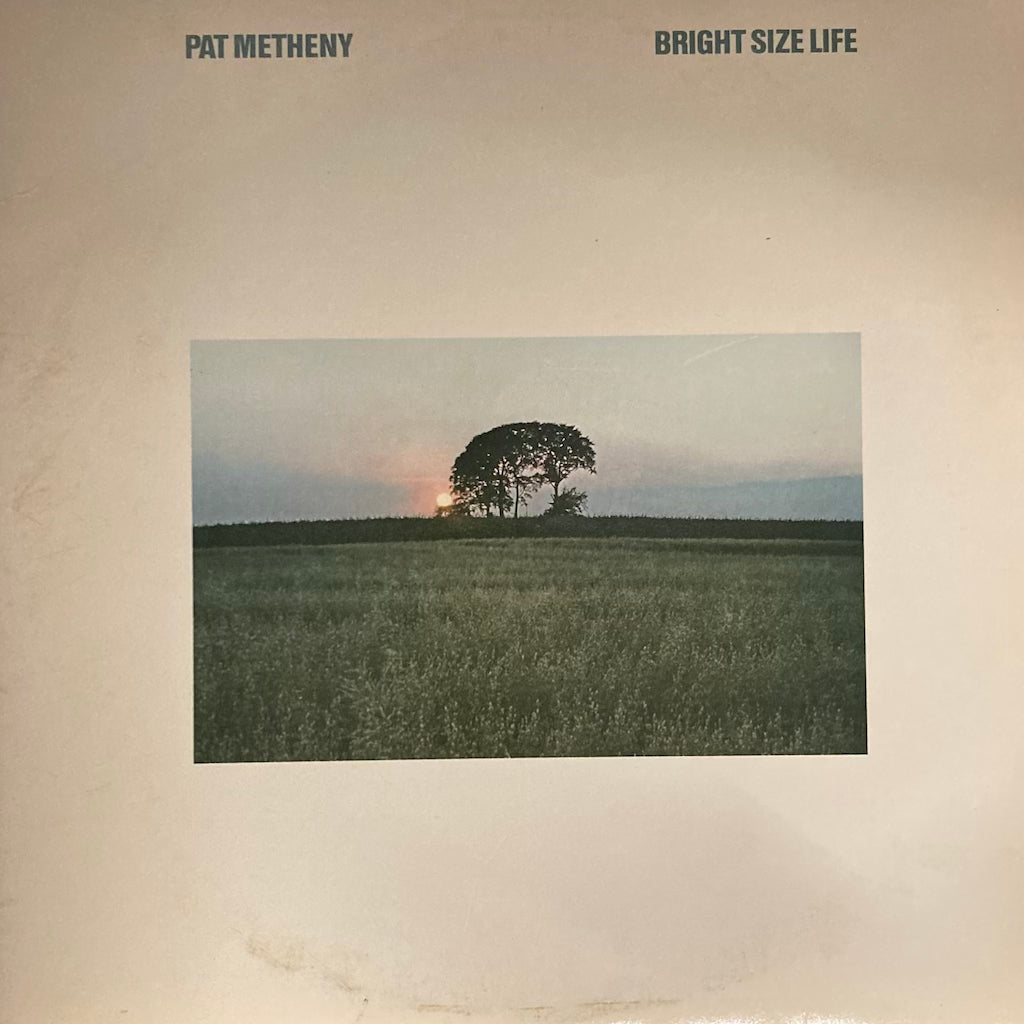 Pat Metheny - Bright Size Life