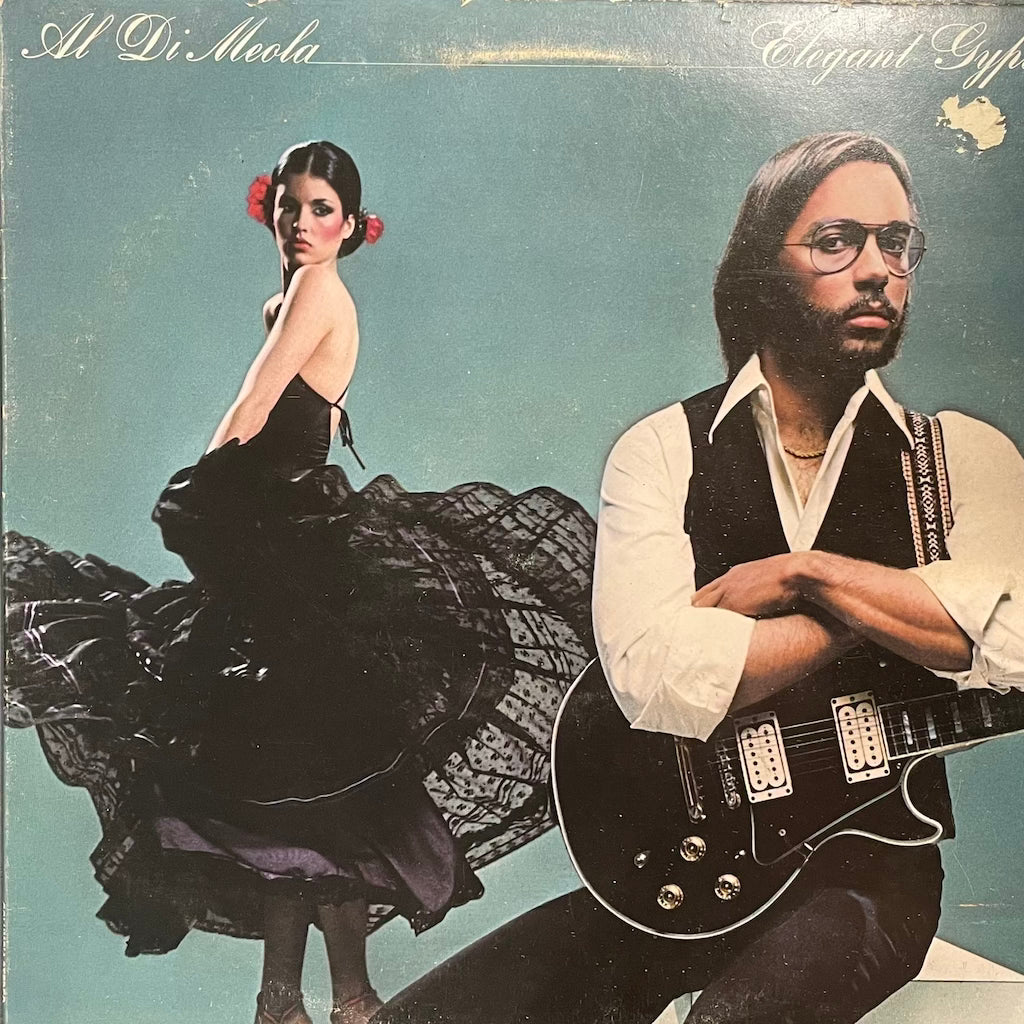 Al Di Meola - Elegant Gypsy