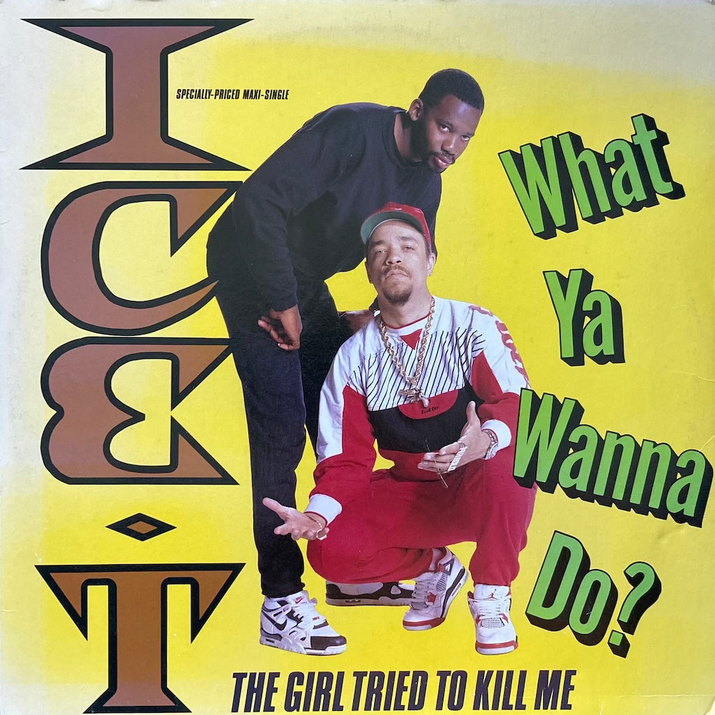 Ice-T - What Ya Wanna Do?