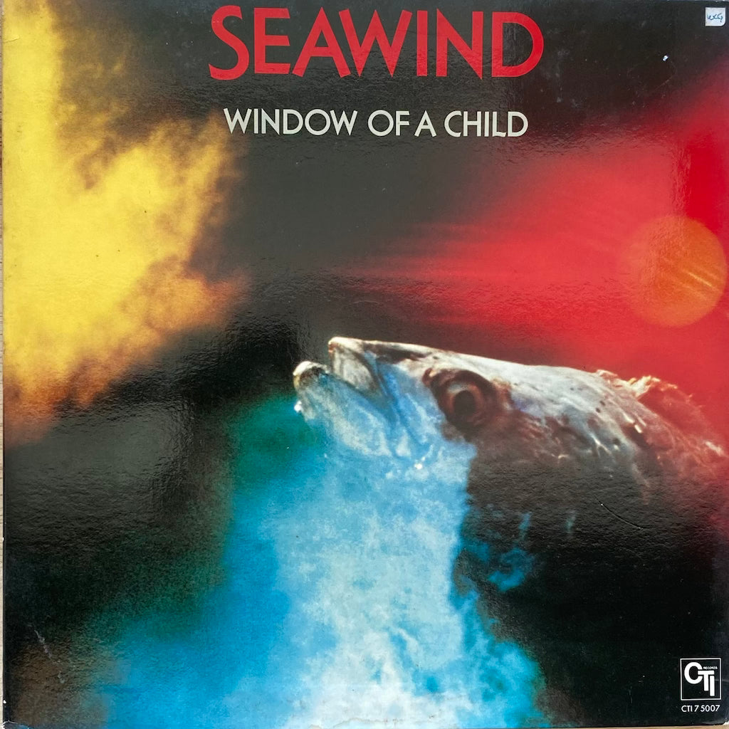 Seawind - Window of a Child