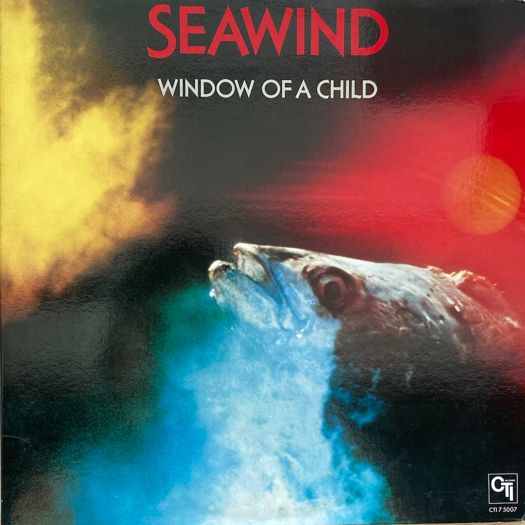 Seawind - Window of a Child