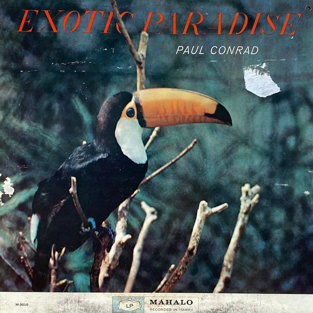 Paul Conrad - Exotic Paradise