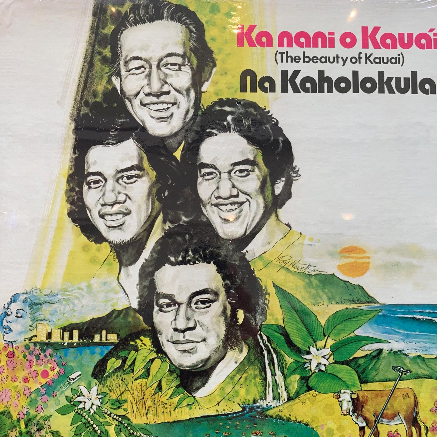 Na Kaholokula - Ka Nani O Kaua'i (The Beauty Of Kaua'i)