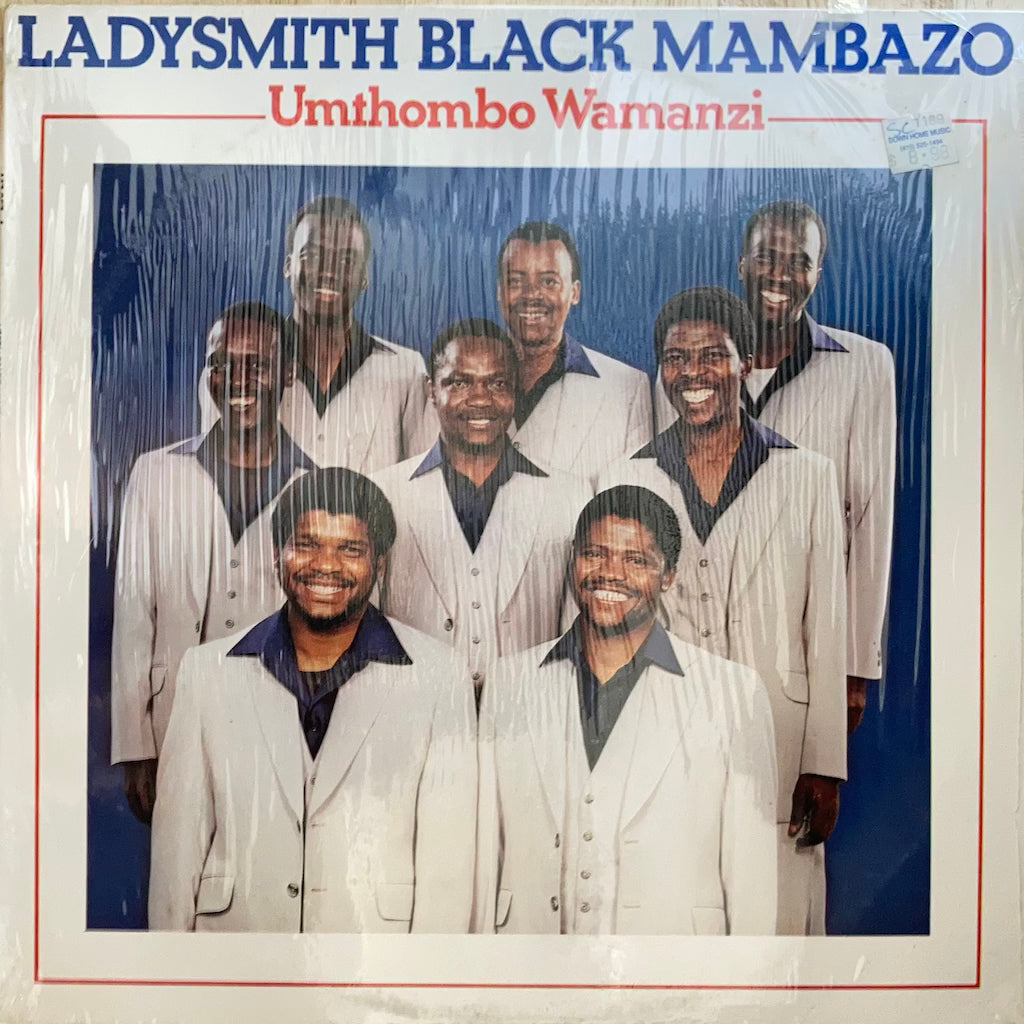 Ladysmith Black Mambazo - Umthombo Wamanzi