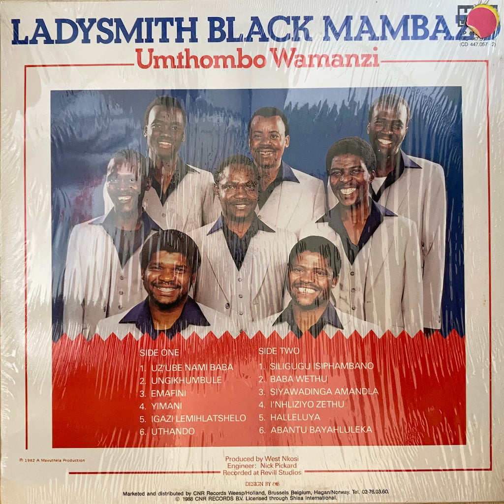 Ladysmith Black Mambazo - Umthombo Wamanzi