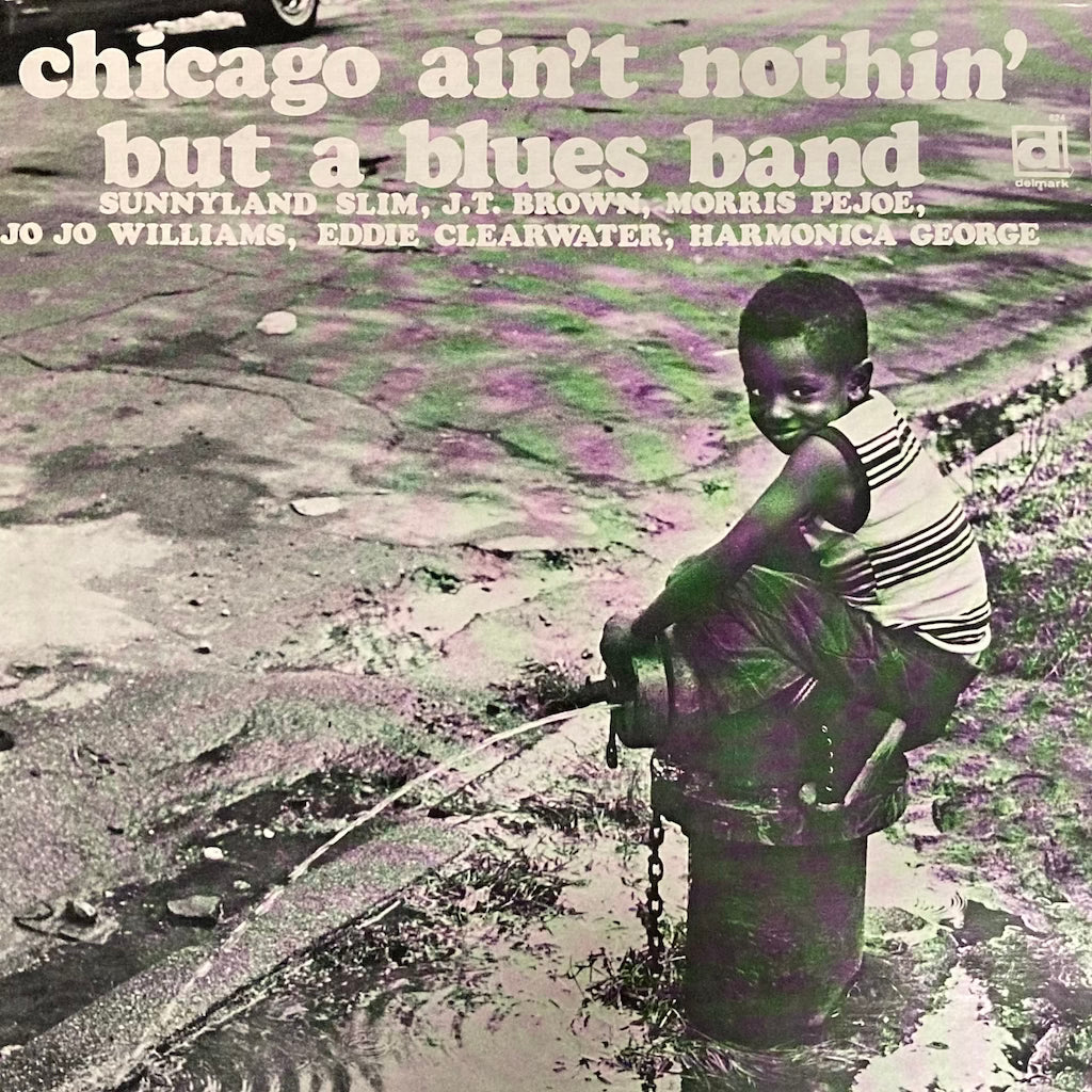 V/A - Chicago Ain't Nothin' But a Blues Band