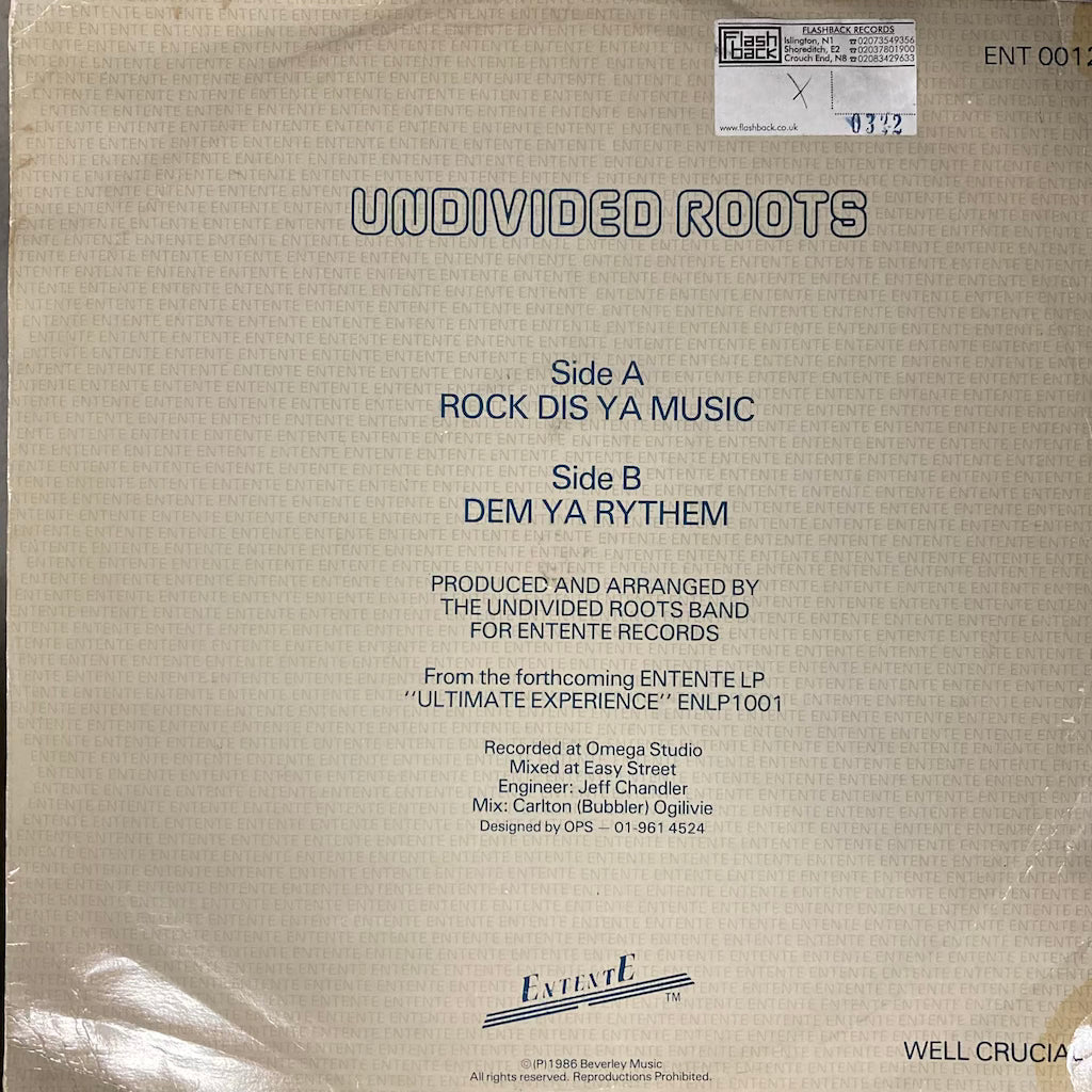 Undivided Roots - Rock Dis Ya Music
