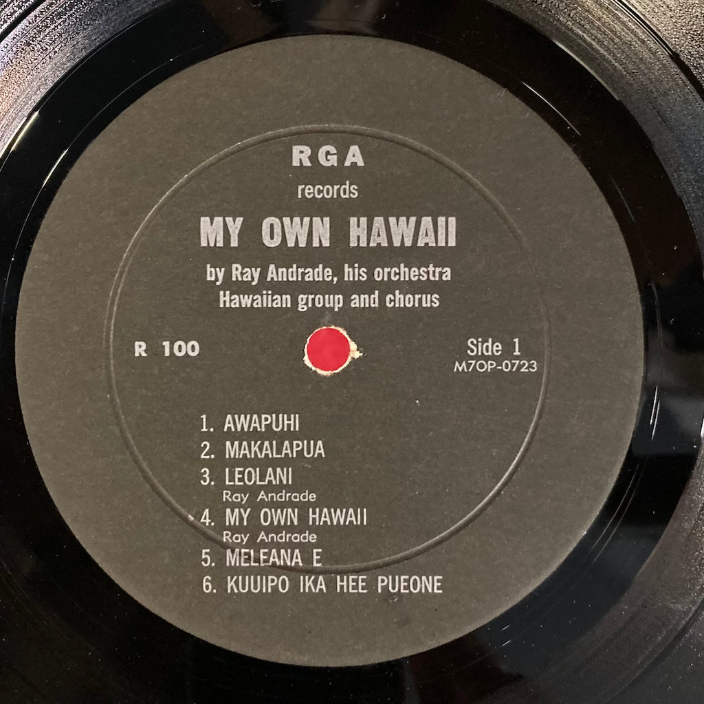 Ray Andrade and His Orchestra - My Own Hawaii