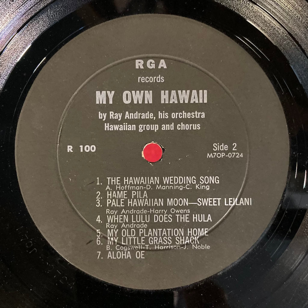 Ray Andrade and His Orchestra - My Own Hawaii