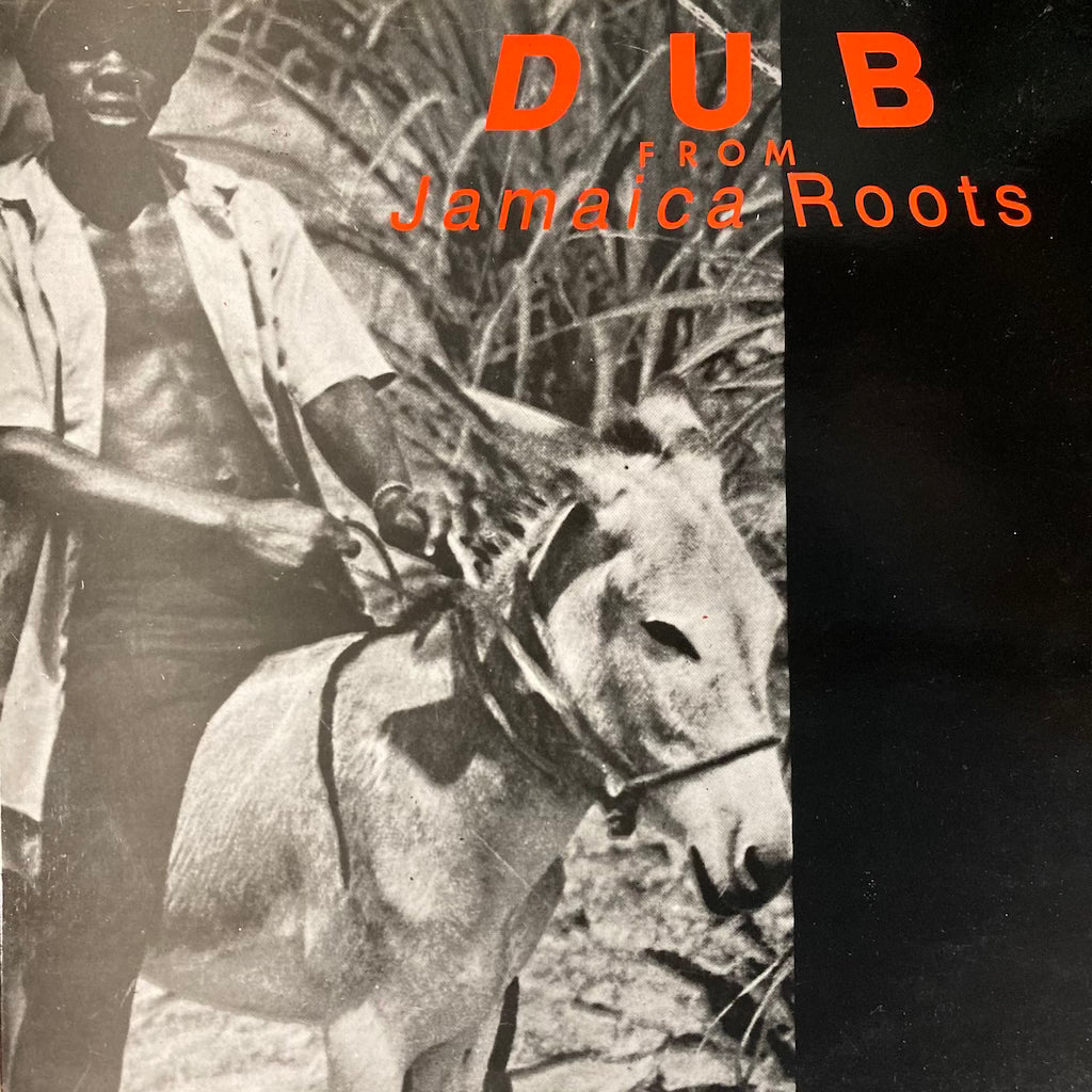 Dub From Jamaica Roots - Dub From Jamaica Roots