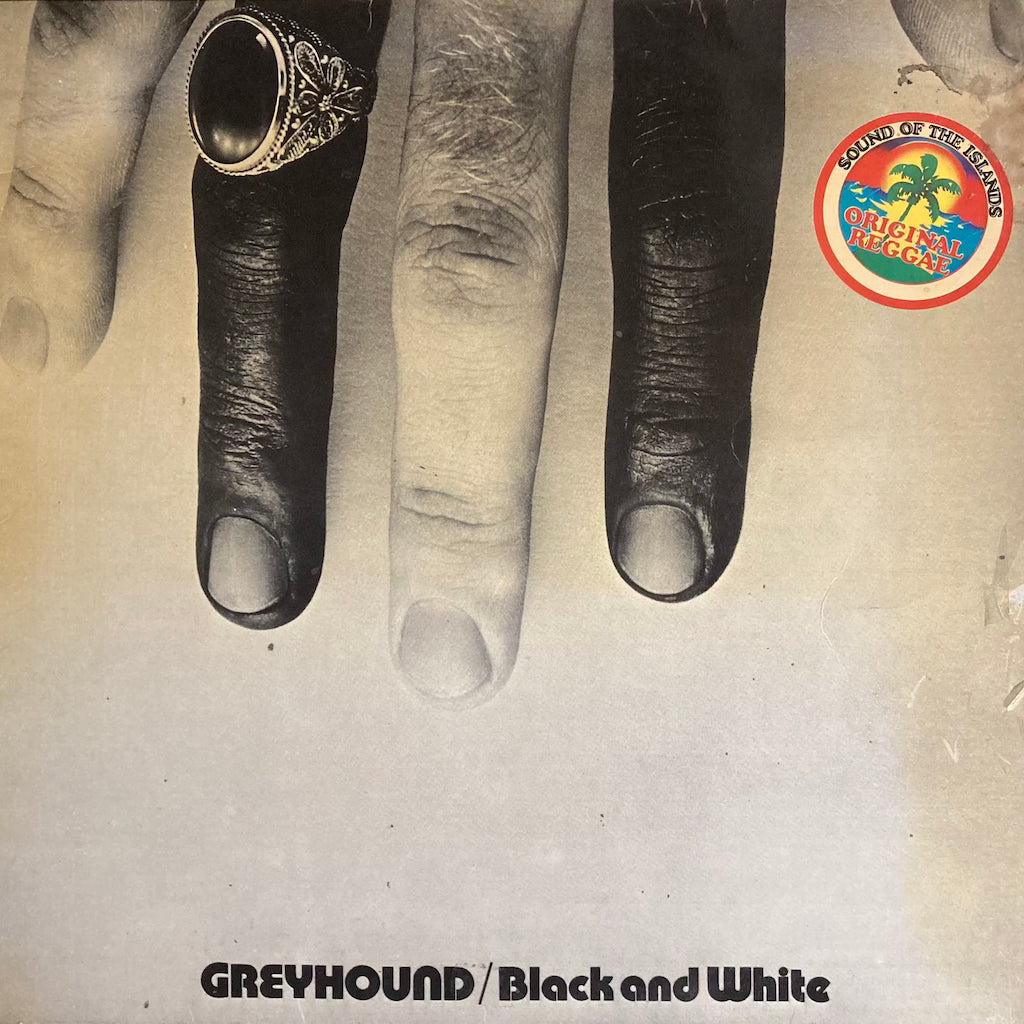 Greyhound - Black and White