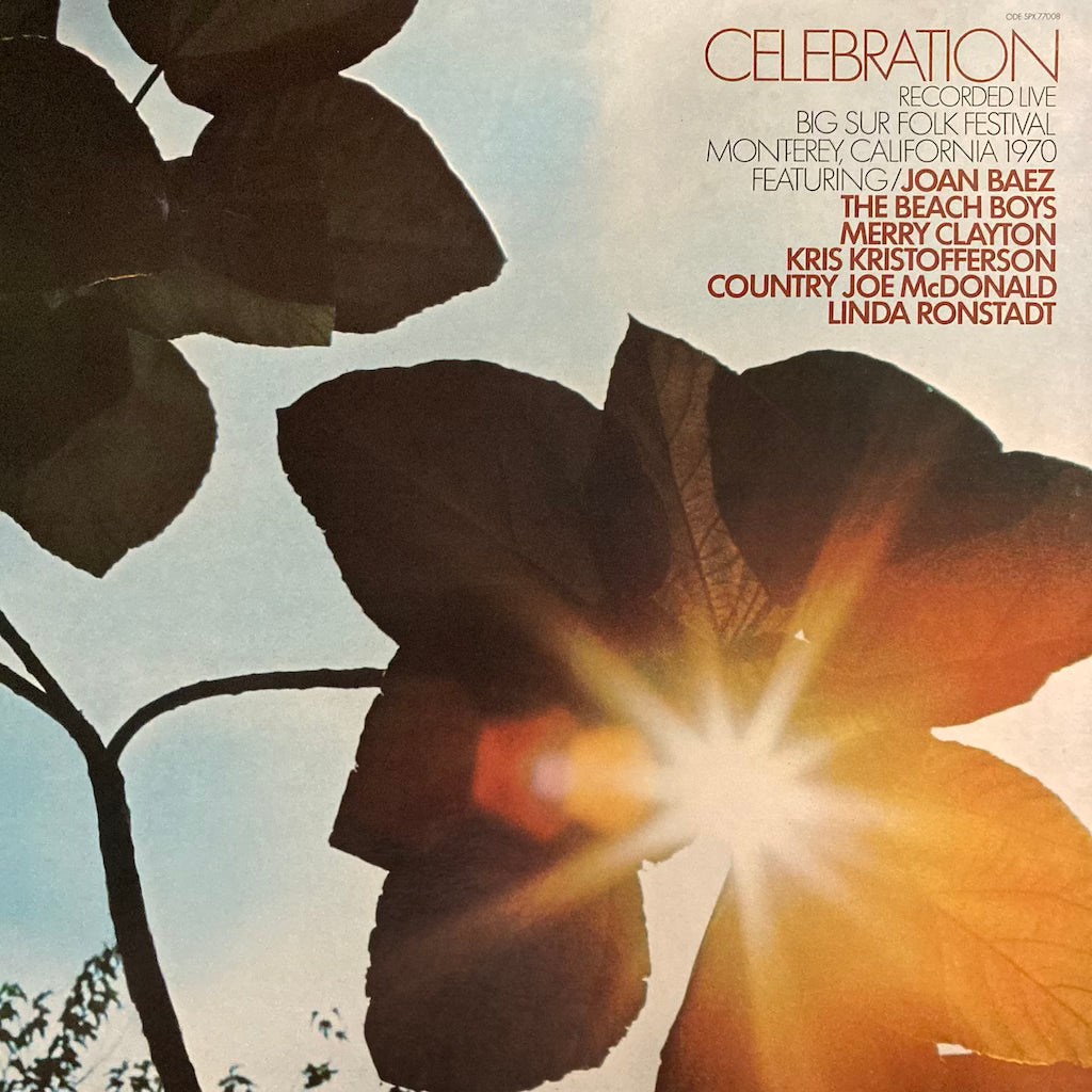 V/A - Celebration