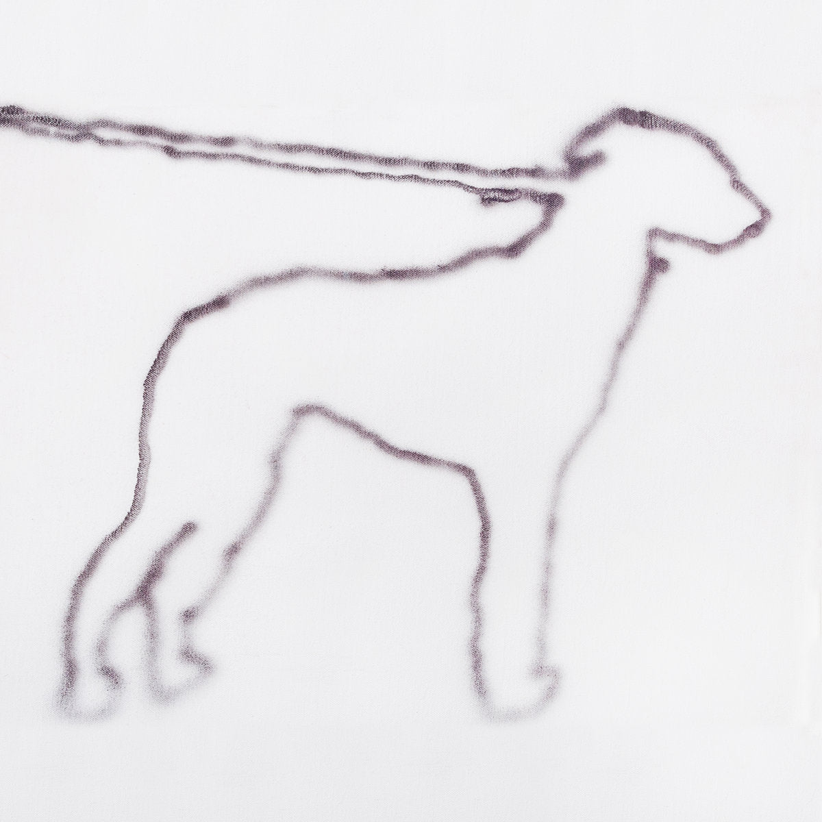 Jonah Yano - portrait of a dog